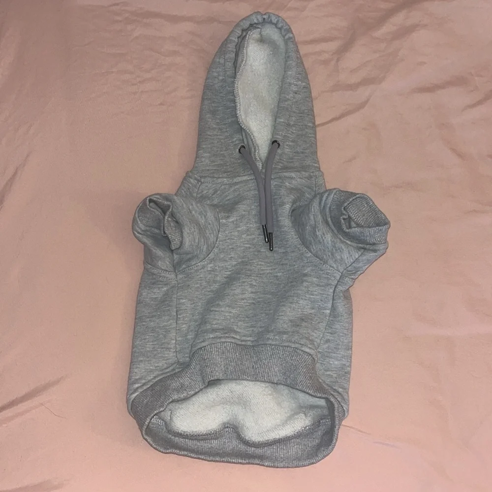 Dog Champion Hoodie - Picture 2 of 3